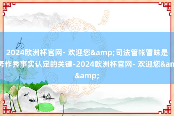 2024欧洲杯官网- 欢迎您&司法管帐冒昧是财务作秀事实认定的关键-2024欧洲杯官网- 欢迎您&