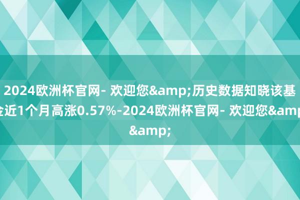 2024欧洲杯官网- 欢迎您&历史数据知晓该基金近1个月高涨0.57%-2024欧洲杯官网- 欢迎您&